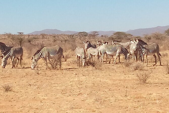 7 Days Safari, Samburu N/R Ol Pejeta Conservancy, Hells Gate N/P Maasai Mara N/R - Key Points