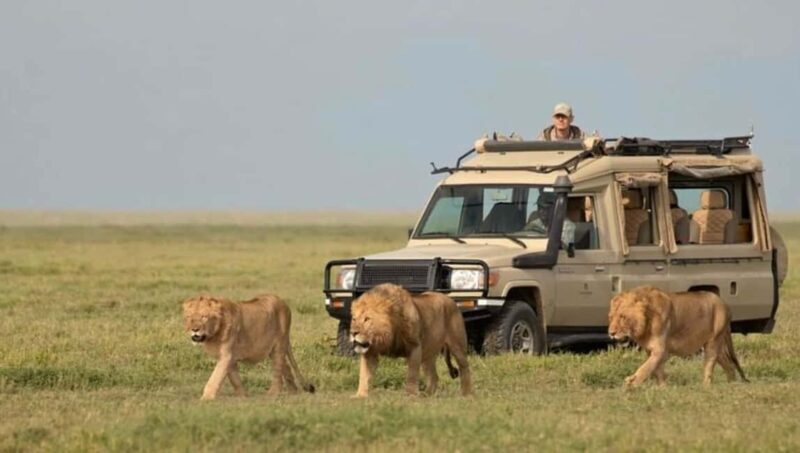 7 Days Samburu-Nakuru-Naivasha-Masai Mara Ultimate Adventure - An In-Depth Look at the 7-Day Kenya Safari Adventure