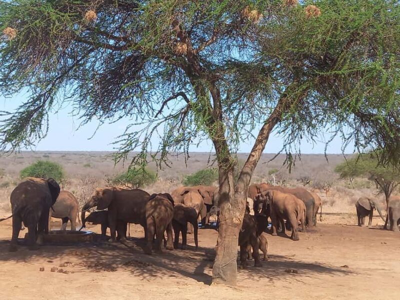 7 Days Samburu-Nakuru-Naivasha-Masai Mara Ultimate Adventure - FAQ