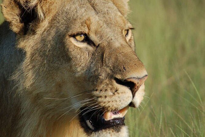 7 Days Tanzania Luxury Safaris - Final thoughts