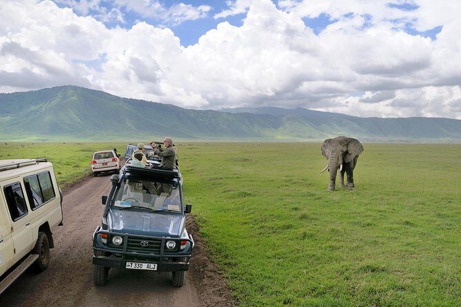 7 Days Tarangire, Serengeti, Ngorongoro & Manyara Camping Safari Tour Tanzania - Key Points