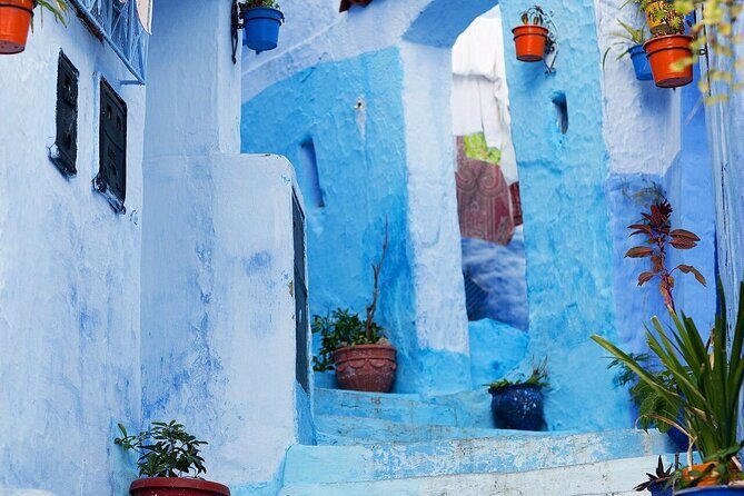 7 days Tour from Casablanca visiting Chefchaouen, Fes and desert, - Exploring the Itinerary in Detail