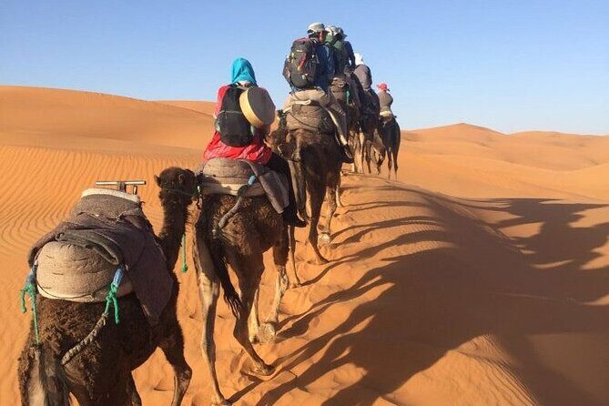 7 days Tour from Casablanca visiting Chefchaouen, Fes and desert, - Frequently Asked Questions
