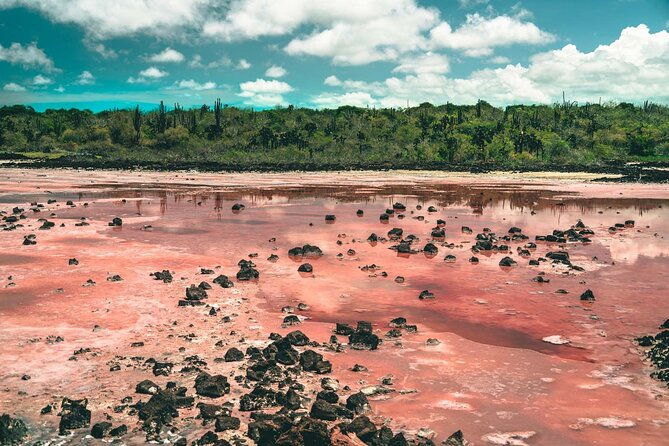 7-days-tour-in-quito-and-santa-cruz-galapagos-best-of-ecuador