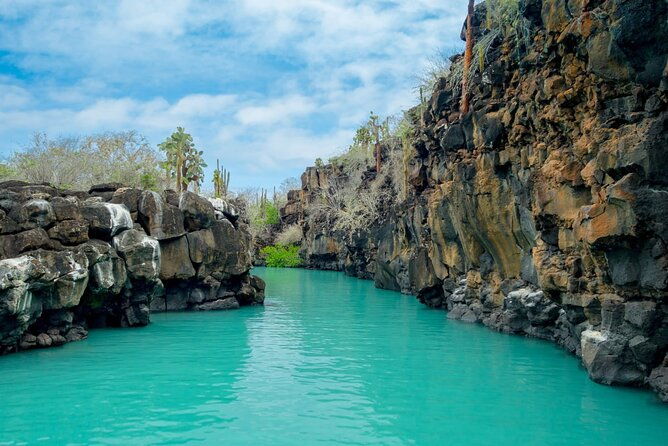 7-days-tour-in-quito-and-santa-cruz-galapagos-best-of-ecuador