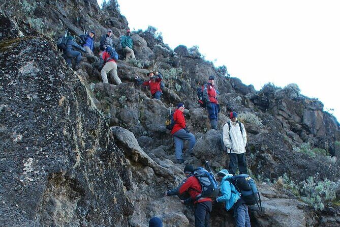 7-Days Tour Mount Kilimanjaro Trekking via Machame Route - Authentic Feedback From Past Trekkers