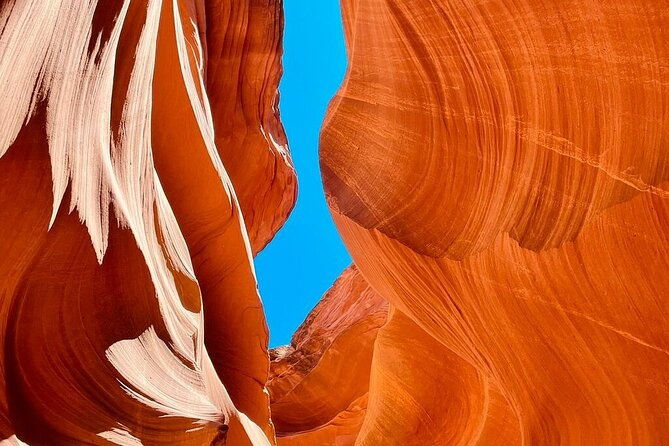 7-days-tour-of-los-angeles-vegas-yellowstone-and-salt-lake-city