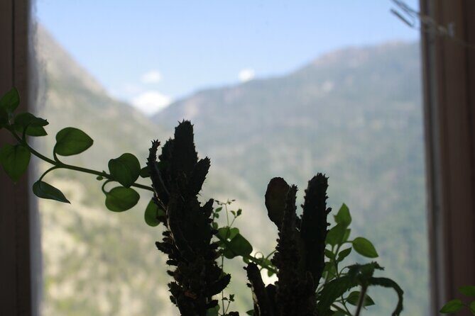 7 Days Tour on Poon Hill Trek and Chitwan Jungle Safari - Authentic Experiences and Highlights