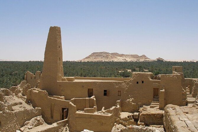 7 Days Tour to Siwa Oais and Alexandria from Cairo - Key Points
