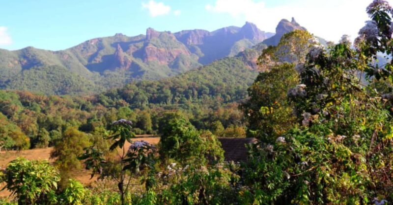 7 Days Visiting Bale Mountain - Key Points