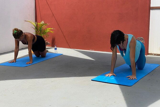 7-days-yoga-meditation-retreat-bahia-brazil