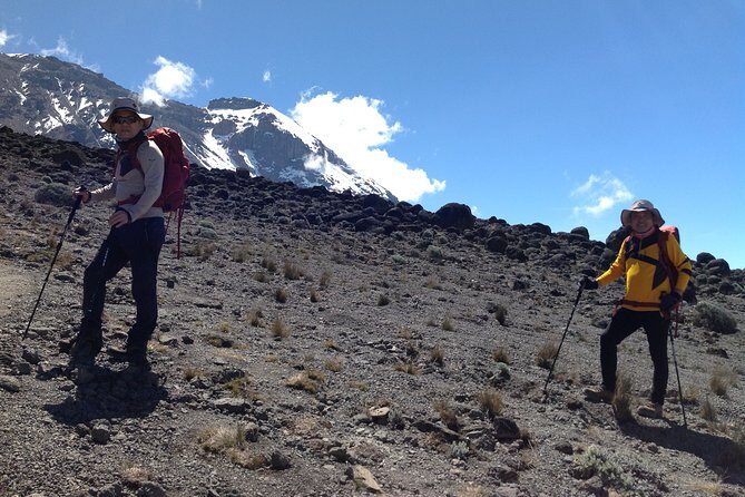 7 days_Mount kilimanjaro Hiking Lemosho Route - The Itinerary Unpacked