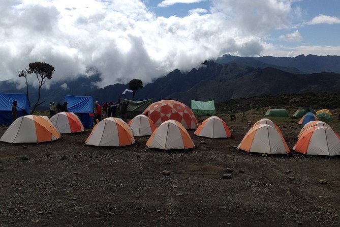 7 days_Mount kilimanjaro Hiking Lemosho Route - Who Should Consider This Tour?