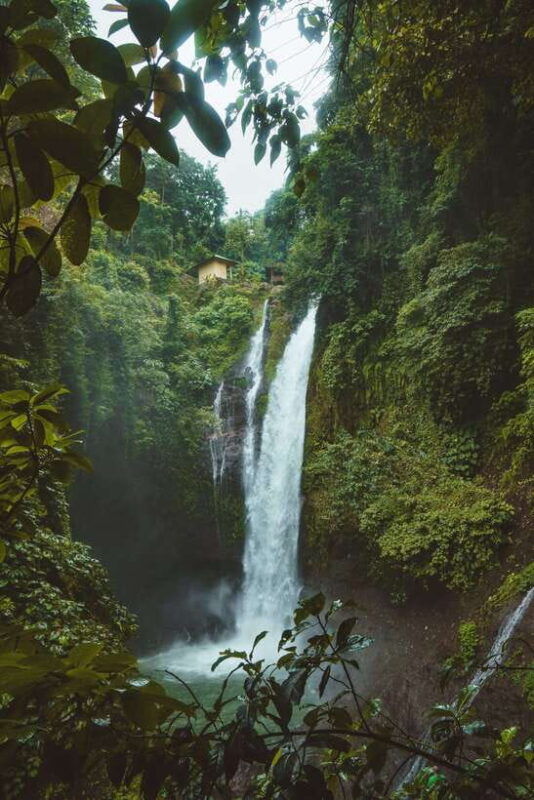 7-hiden-waterfalls-and-luwak-coffee-visit