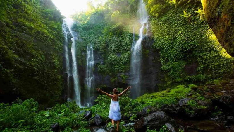 7-hiden-waterfalls-and-luwak-coffee-visit