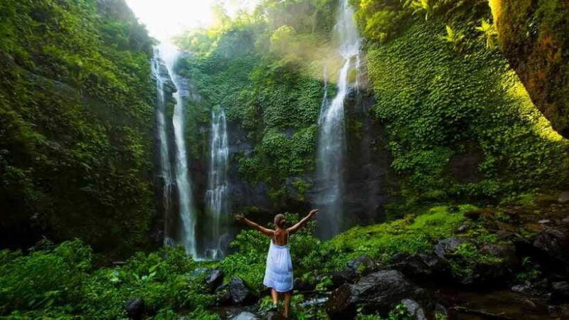 7-hiden-waterfalls-and-luwak-coffee-visit