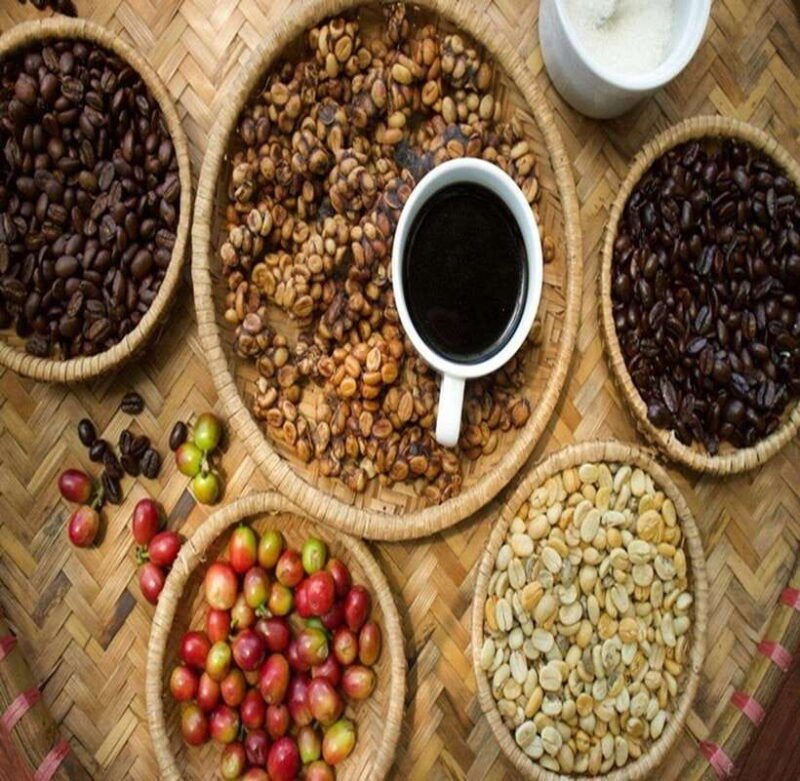 7-hiden-waterfalls-and-luwak-coffee-visit