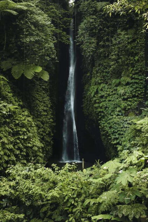 7-hiden-waterfalls-and-luwak-coffee-visit