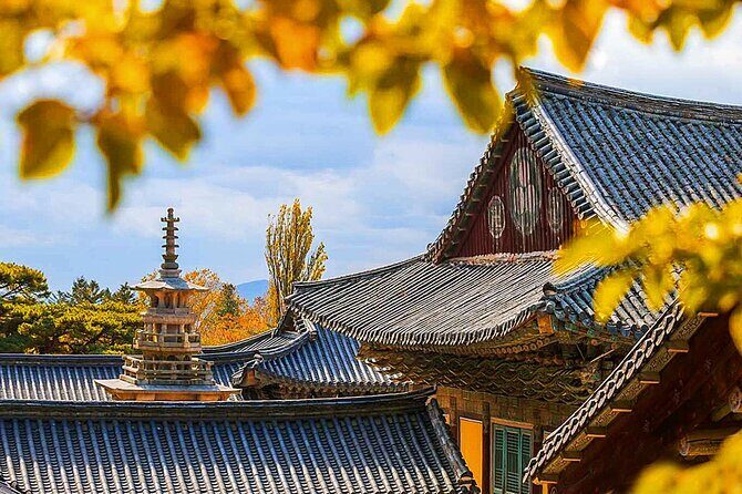 7 Highlights Gyeongju City One Day Small Group Tour from Busan - Key Points