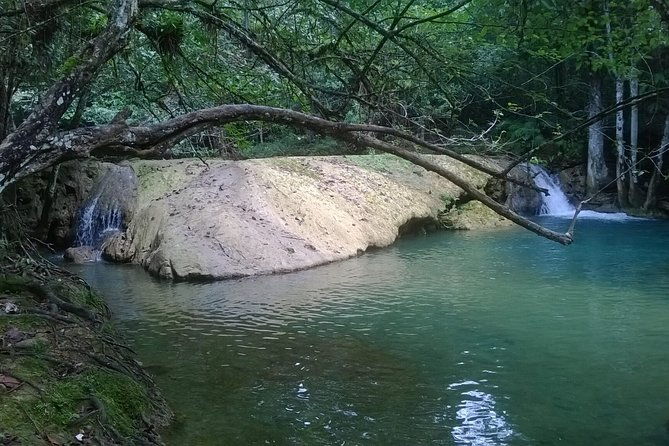 7-hour-private-nature-tour-of-the-monte-plata-rainforest