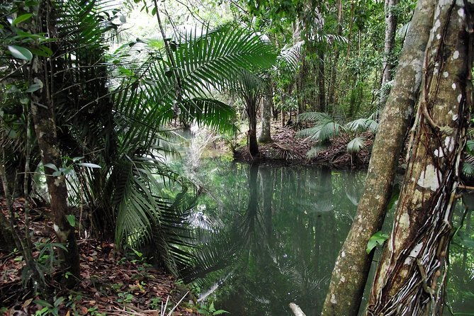 7-hour-private-nature-tour-of-the-monte-plata-rainforest
