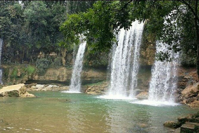 7-hour-private-nature-tour-of-the-monte-plata-rainforest