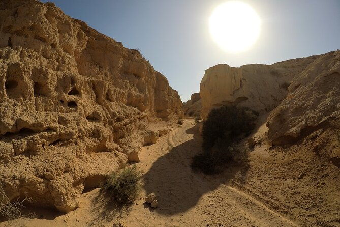 7-hour-private-tour-to-the-wonders-of-fuerteventura