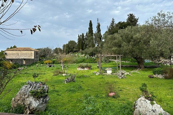7-hour-shared-4x4-off-road-experience-in-zakynthos