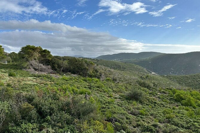 7-hour-shared-4x4-off-road-experience-in-zakynthos