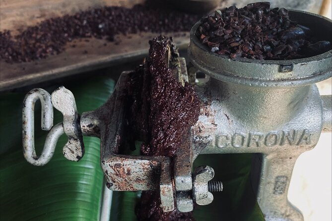 7-hours-chocolate-making-at-bribri-talamanca-with-swimming