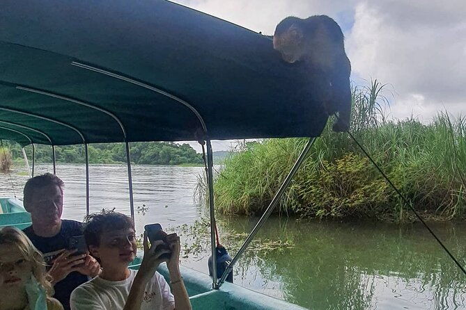 7-hours-monkey-island-and-nature-walk-at-soberania-national-park