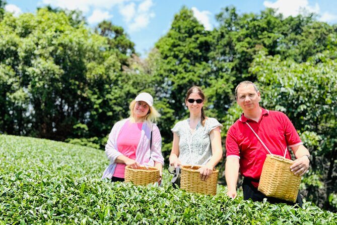 7 Hours Private Guided Tour Uji and Wazuka Matcha Farm - A Closer Look at the Itinerary