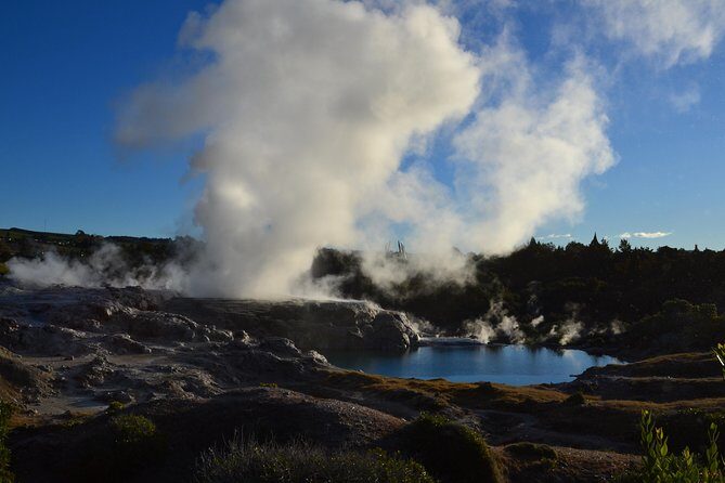 7 Hours Te Puia Rotorua Tour from Tauranga with Concert - Discovering Rotorua with a 7-Hour Te Puia Tour from Tauranga