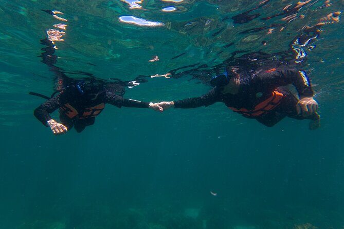 7 Islands Koh Lipe Snorkeling and Monkey Beach by Longtail Boat - Final Verdict: Is This Tour Worth It?