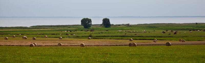 7-lake tour: nature & enjoyment on Usedom - A Detailed Look at the 7-Lake Tour