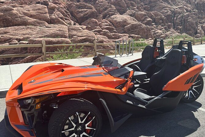 7-magic-mountains-tour-and-las-vegas-sign-on-a-slingshot