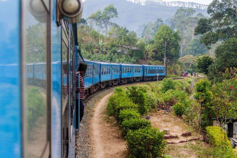 7-night-8-days-tour-in-srilanka