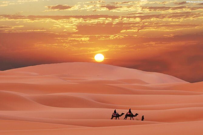 7 Night Sahara Caravan Road - What Travelers Say: Authentic Insights from Reviews