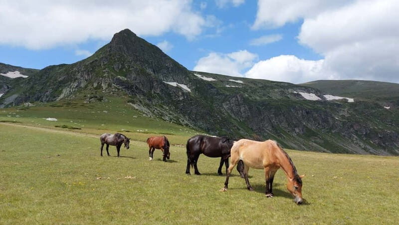 7 Rila lakes and Rila monastery day tour from Sofia - The Sum Up