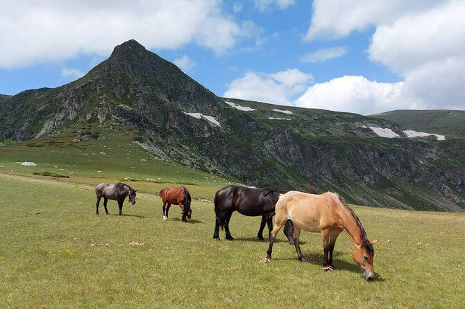 7-rila-lakes-and-rila-monastery-small-group-day-tour-from-sofia