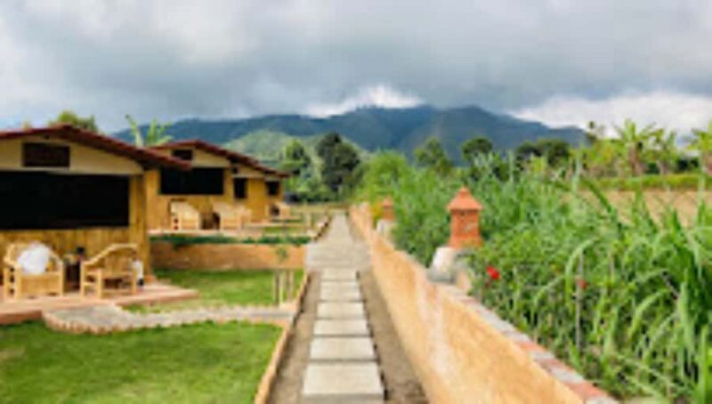 7 Summit Rinjani: Pergasingan Hill Sunrise Beginner Friendly - Practical Tips for Your Trek