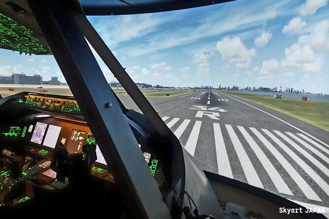 70-minutes-of-flight-simulation-experience-in-a-real-cockpit-a-must-see-for-airplane-lovers