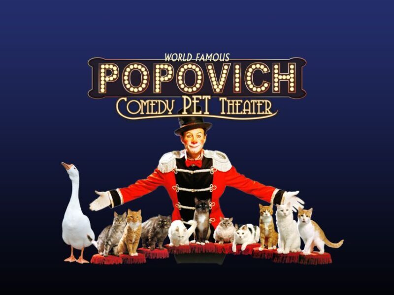 75-Minute Popovich Comedy Pet Theater in Las Vegas - What to Expect from the Popovich Comedy Pet Theater