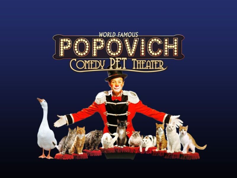 75-minute-popovich-comedy-pet-theater-in-las-vegas