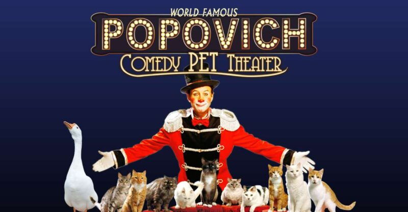 75-minute-popovich-comedy-pet-theater-in-las-vegas