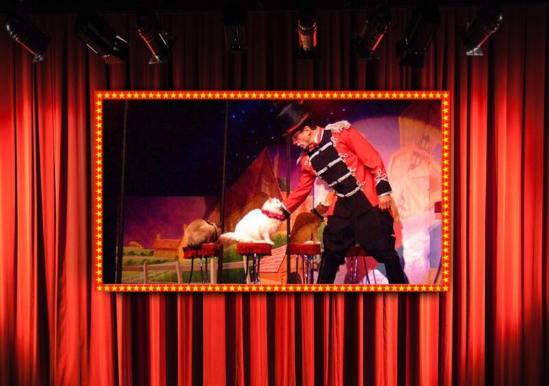 75-minute-popovich-comedy-pet-theater-in-las-vegas