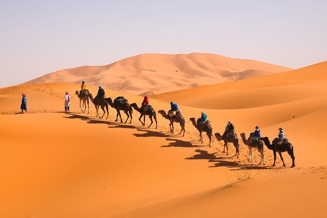 7D Desert Private Tour From Marrakech By Fes And Blue Chefchaouen - Day 7: Final Stop in Casablanca and Departure