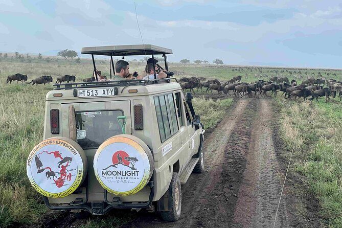 7Day Serengeti Migration (Ndutu), Crater, Hot Springs & City Tour - Starting Point: From Arrival to Arusha