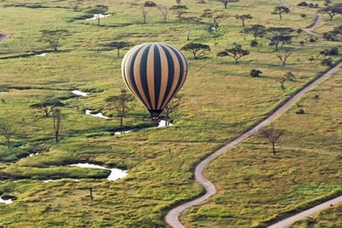 7Day Serengeti Migration (Ndutu), Crater, Hot Springs & City Tour - Day 7: Relaxation and Farewell in Nature