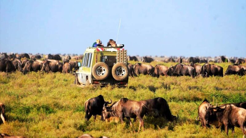 7Days Lake Nakuru Masai Mara Serengeti & Ngorongoro Safari - In-Depth Itinerary Breakdown